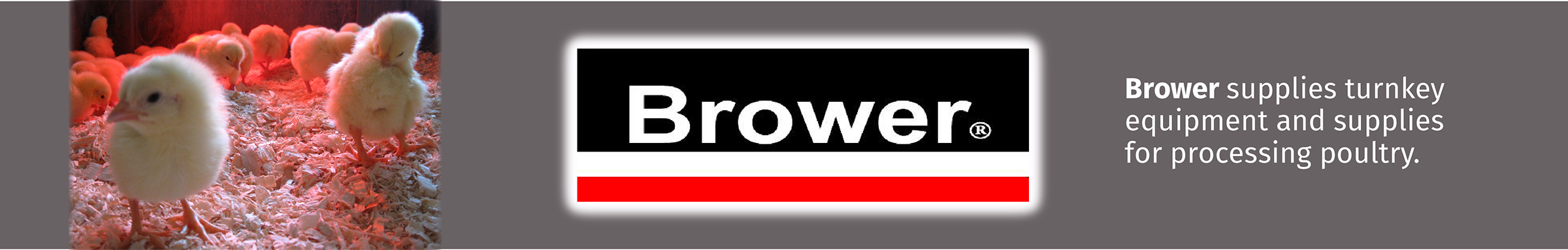 Brower