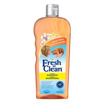 Fresh 'n Clean Scented Shampoo - Classic Fresh Scent, 22584, 18 OZ