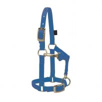 WEAVER EQUINE™ Miniature Horse Adjustable Chin and Throat Snap Halter, 35-4800-BL, Blue, Average