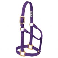 WEAVER EQUINE™ Original Non-Adjustable Nylon Horse Halter, 35-7003-PU, Purple