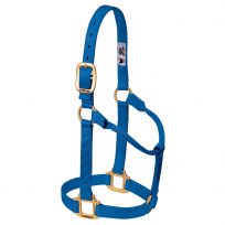 WEAVER EQUINE™ Original Non-Adjustable Nylon Horse Halter, 35-7006-BL, Blue, Large