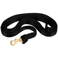 WEAVER EQUINE™ Flat Nylon Lunge Line, with Snap, 35-7043-BK, Black, 1 IN x 30 FT