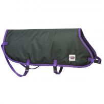 WEAVER LIVESTOCK™ Pro Calf Blanket, 35-3597-B1, Black / Purple, Regular