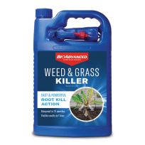 BIOADVANCED® Weed & Grass Killer Ready-to-Use, 704198A, 1 Gallon