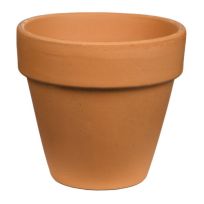 Pennington Terra Cotta Standard Pot, 5.9 IN, 0115MZ