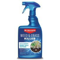 BIOADVANCED® Weed & Grass Killer Ready-to-Use, 704197A, 24 OZ