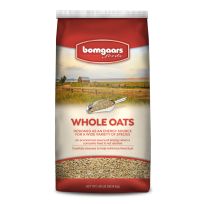 Bomgaars Feeds Whole Oats, 80942, 40 LB Bag