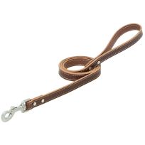 TERRAIN D.O.G. Bridle Leather Dog Leash, 06-2014-4, Brown, 3/4 IN x 4 FT