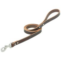 TERRAIN D.O.G. Bridle Leather Dog Leash, 06-2034-T1-4, Brown / Hurricane Blue, 3/4 IN x 4 FT