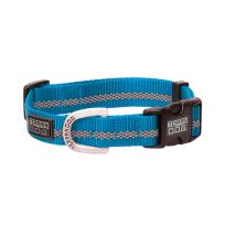 TERRAIN D.O.G. Reflective Snap-N-Go Adjustable Dog Collar, 07091-40-02, Blue, Small