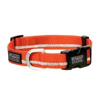 TERRAIN D.O.G. Reflective Snap-N-Go Adjustable Dog Collar, 07091-60-09, Orange, Large