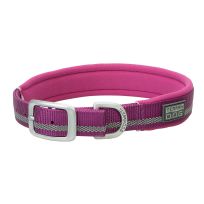 TERRAIN D.O.G. Reflective Neoprene Lined Dog Collar, 07007-16-21-05, Purple, 1 IN x 21 IN