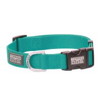 TERRAIN D.O.G. Nylon Adjustable Snap-N-Go Dog Collar, 07090-60-198, Mint, Large