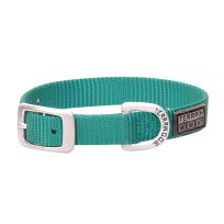 TERRAIN D.O.G. Nylon Single-Ply Dog Collar, 07005-10-11-198, Mint, 5/8 IN x 11 IN