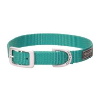 TERRAIN D.O.G. Nylon Single-Ply Dog Collar, 07005-12-15-198, Mint, 3/4 IN x 15 IN