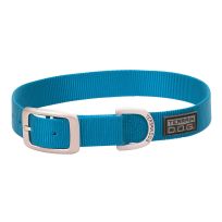 TERRAIN D.O.G. Nylon Single-Ply Dog Collar, 07005-16-19-02, Blue, 1 IN x 19 IN