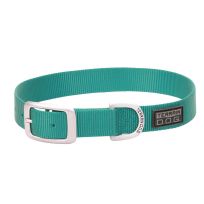 TERRAIN D.O.G. Nylon Single-Ply Dog Collar, 07005-16-19-198, Mint, 1 IN x 19 IN