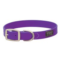 TERRAIN D.O.G. Brahma Webb Dog Collar, 07030-16-19-05, Purple, 1 IN x 19 IN