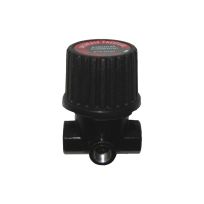 Black Diamond 1/4 IN NPT Inlet/Outlet x 1/8 IN NPT Gauge Pressure Regulator, BD019-0167RP