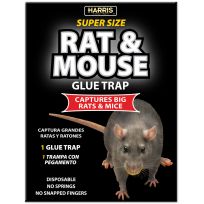 Harris Super Size Rat & Mouse Glue Trap, 13.5 IN x 8.65 IN, BLKRAT-1