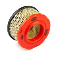 Briggs And Stratton Air Filter with Pre-Cleaner (DIY Package Version of 793569), 797819