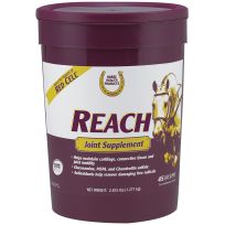 Horse Health Reach Joint Supplement, 100505348, 2.815 LB