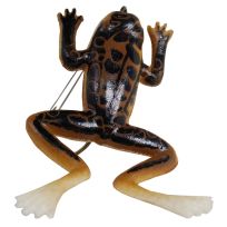 Creme Burke Rigged Frog, 72991