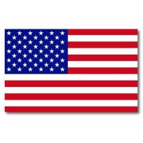 Annin® US Flag Car Magnet, 177648