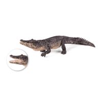 Mojo Alligator, 387168