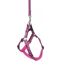 TERRAIN D.O.G. Reflective Neoprene Lined Dog Harness, 07940-60-05, Purple, Large