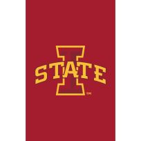 Evergreen Applique Flag, Reg, Iowa State University, 15A962