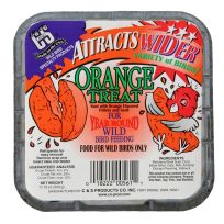 C&S Orange Treat Suet, 100214330, 11.75 OZ