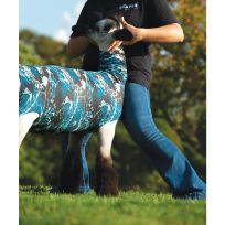 WEAVER LIVESTOCK™ Spandex Tube, Sheep, 37510-60-624, Tidal Wave, Large