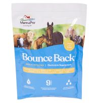 MannaPro® Bounce Back Powder, 1000352