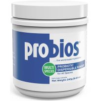 probios® Probiotic Dispersible Powder, CHR-404, 240 g