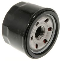 Cub Cadet® Oil Filter, 490-201-C010