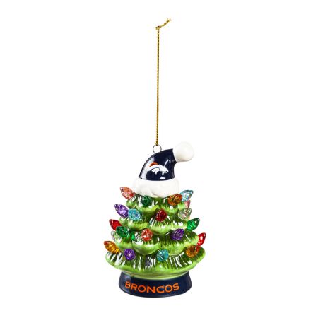 Denver Broncos Team Santa Hat