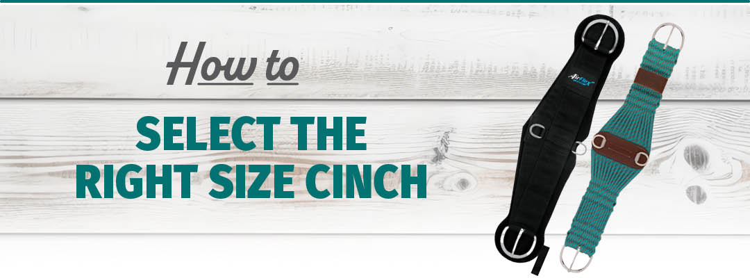 The right Size Cinch