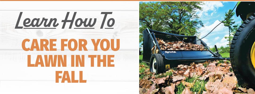 Fall Lawn Care - Bomgaars BLOG