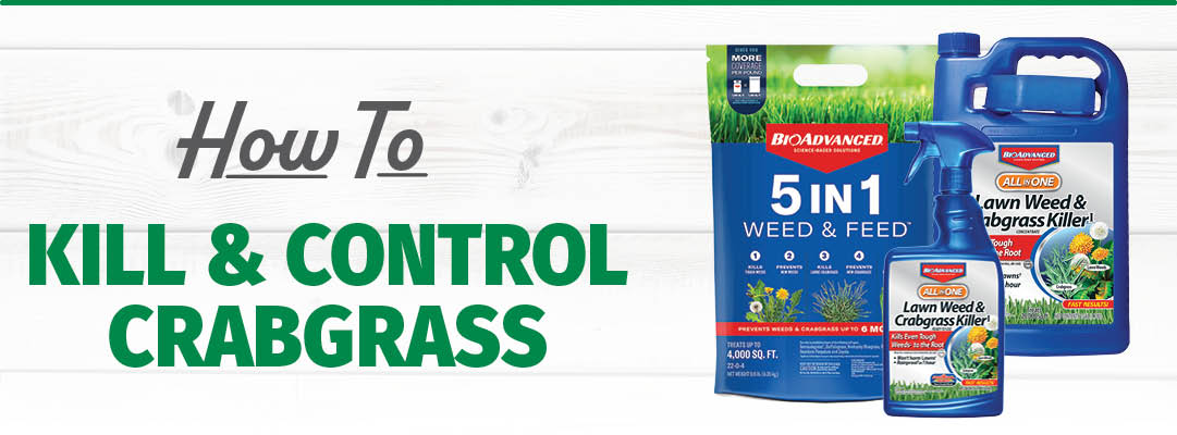 How to Kill and Control Crabgrass