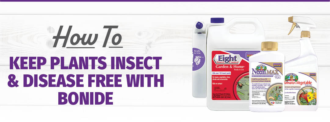 Keeping Your Plants Insect & Disease-Free with Bonide