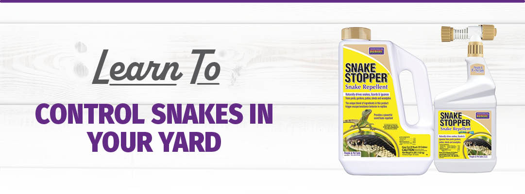 Controlling Snake In Your Yard